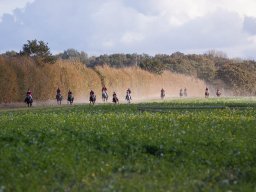 IMG_9797web